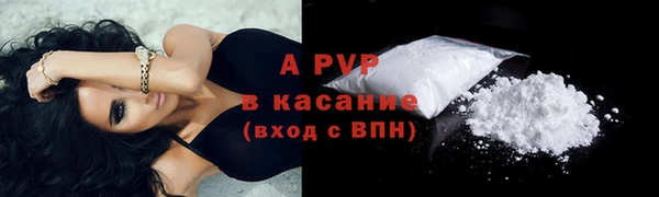 дживик Богданович